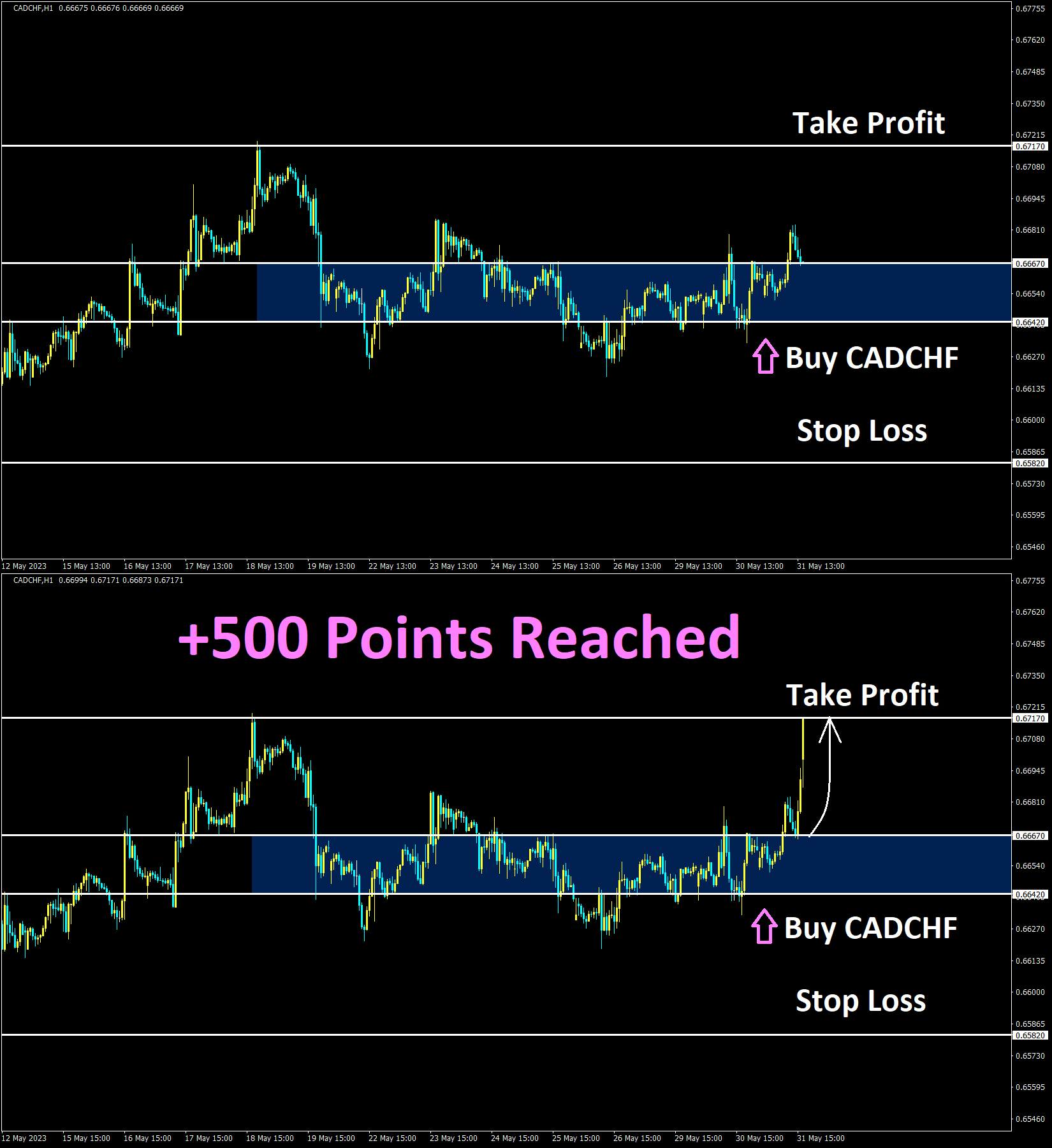 CADCHF May'31 Reached T1 +500 Points