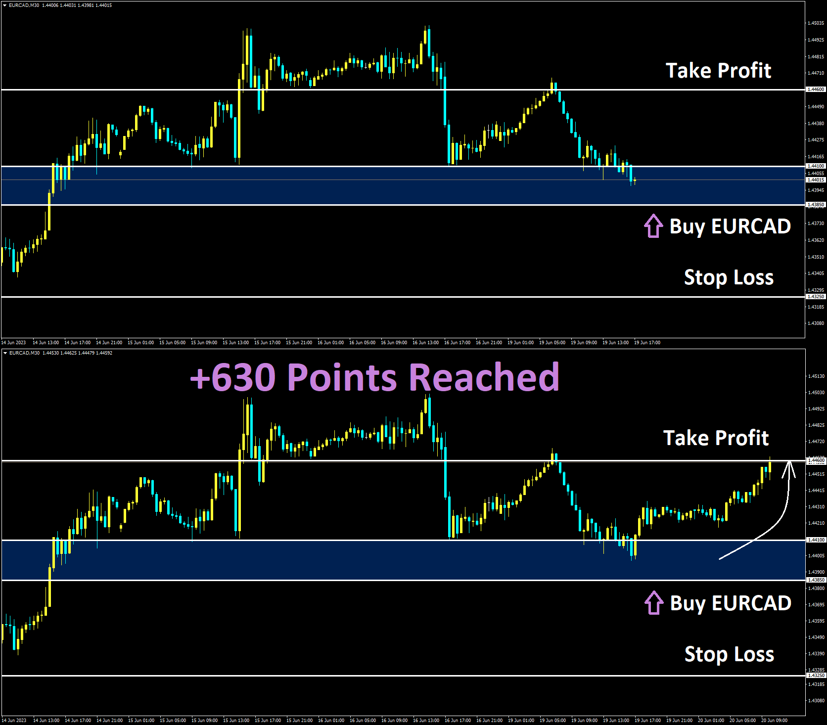 EURCAD June'19 T1 on June'20 +630 Points.