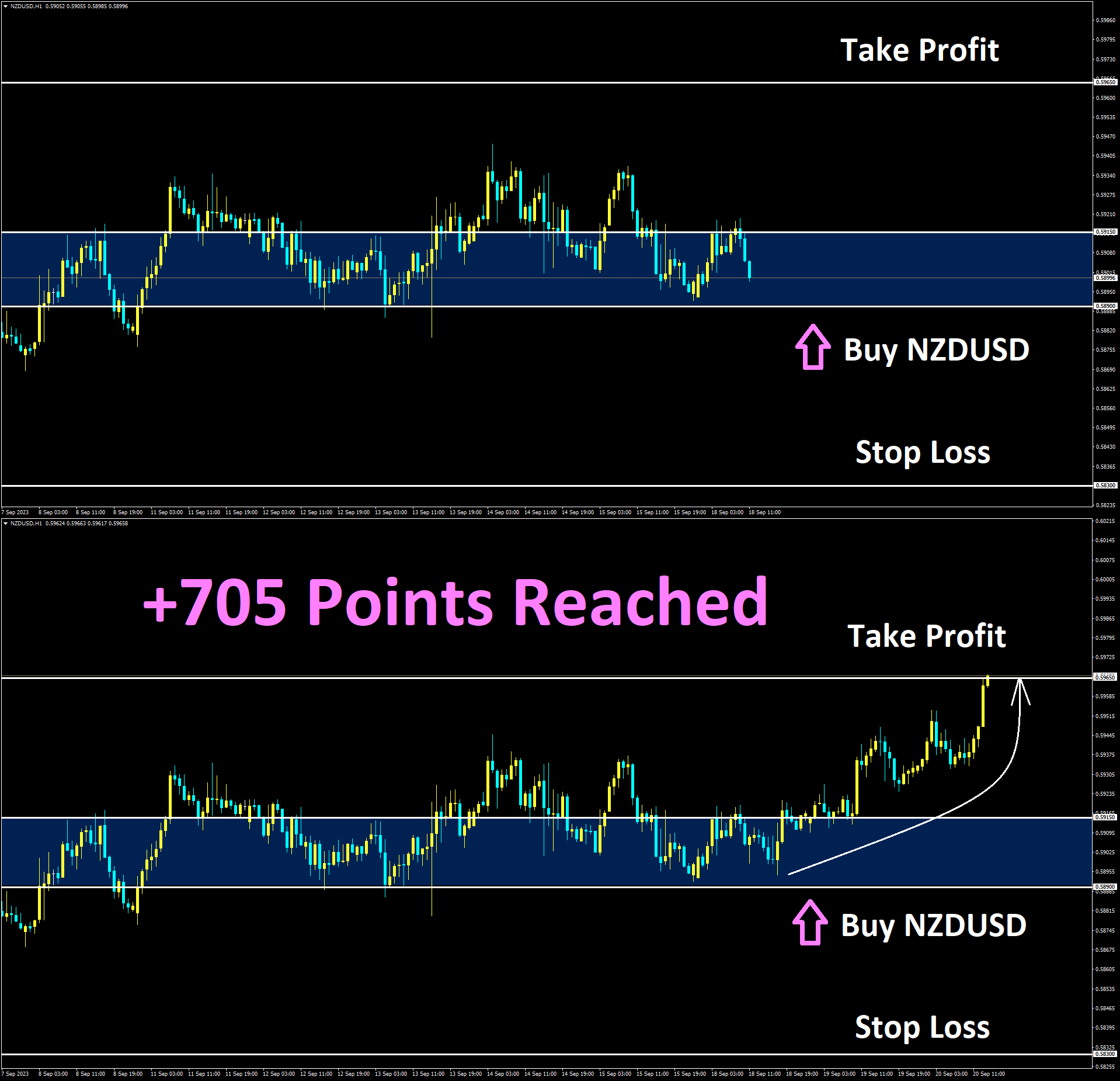 NZDUSD Sep'18 Reached Take Profit